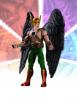 1hawkman01_t1.jpg