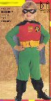 Batman: TAS Robin Costume
