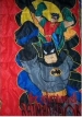Sleeping Bag