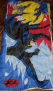 Sleeping Bag