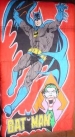 Sleeping Bag