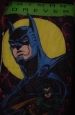 Sleeping Bag